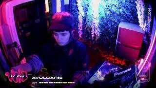 Avulgaris || 07.11.24